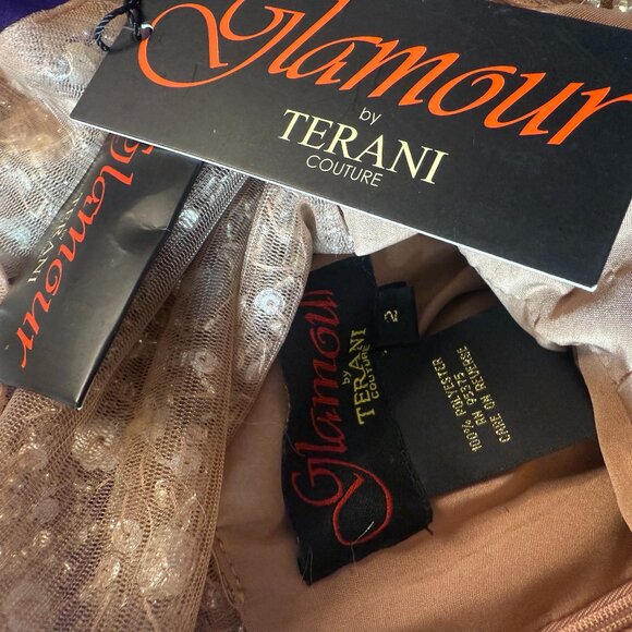 NEW📌 Terani Couture "Spotlight On" Elaborate Beaded Top Blush Prom - Ball Gown - Picture 14 of 16